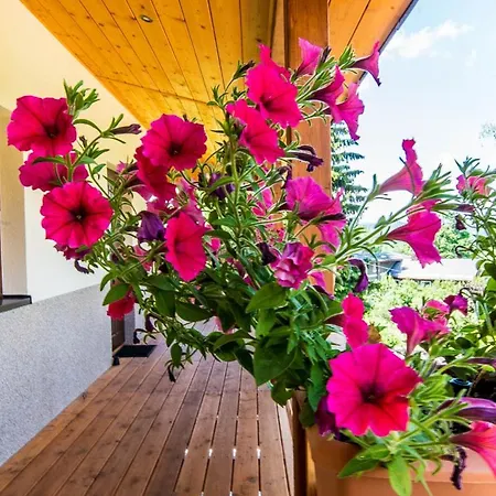 Oaza Spokoju Apartamenty Z Osobnym Wejsciem Polanica-Zdroj Exterior photo