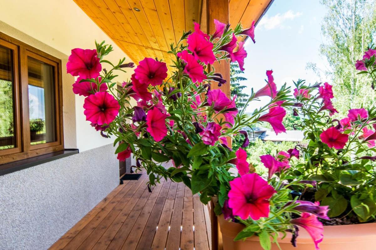 Apartament Oaza Spokoju Z Osobnym Wejsciem Polanica-Zdrój